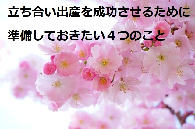 japanese-cherry-trees-324175_640