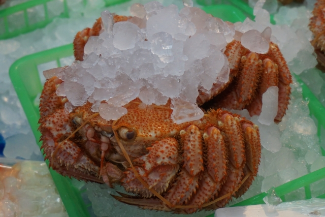 938dfc44aa2806220d3bf110a0309514_s