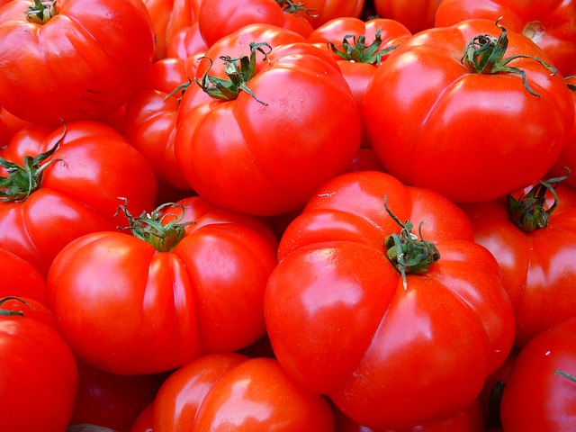 tomatoes-5356_640