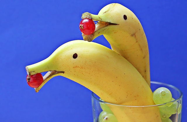 delfin-bananas-1737836_640