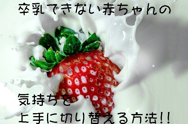 strawberry-1882400_640