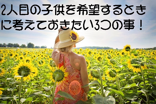 sunflowers-3640935_640