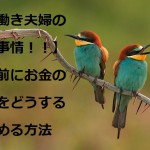 bee-eaters-3749679_640
