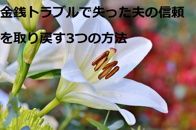 lily-3763573_640